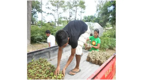 Plantation